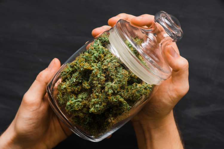 Cannabis Tea flower in a jar