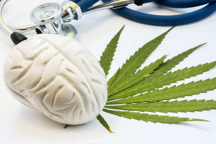 Cannabis and Parkinsons brain on leaf