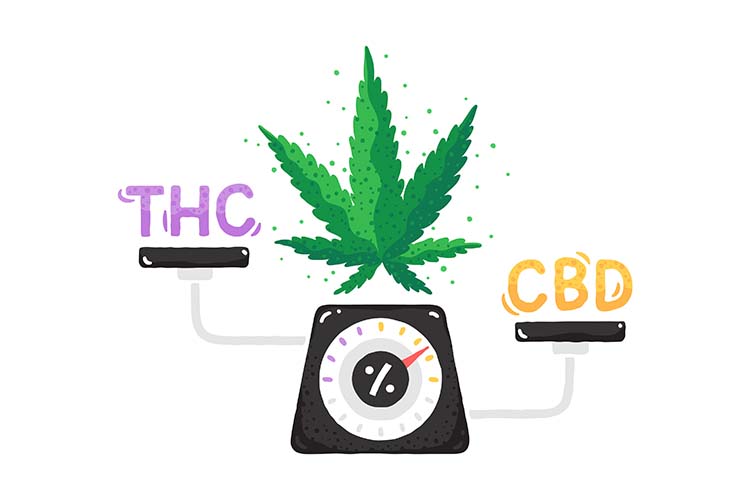 THC vs CBD measuring up