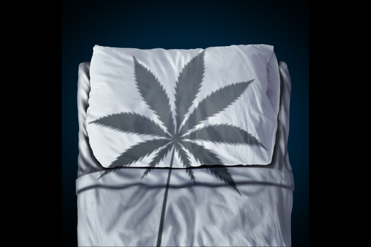 cannabis for insomnia leaf shadow on bed