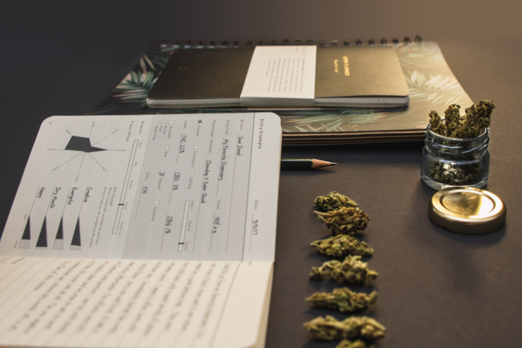 cannabis journal 1