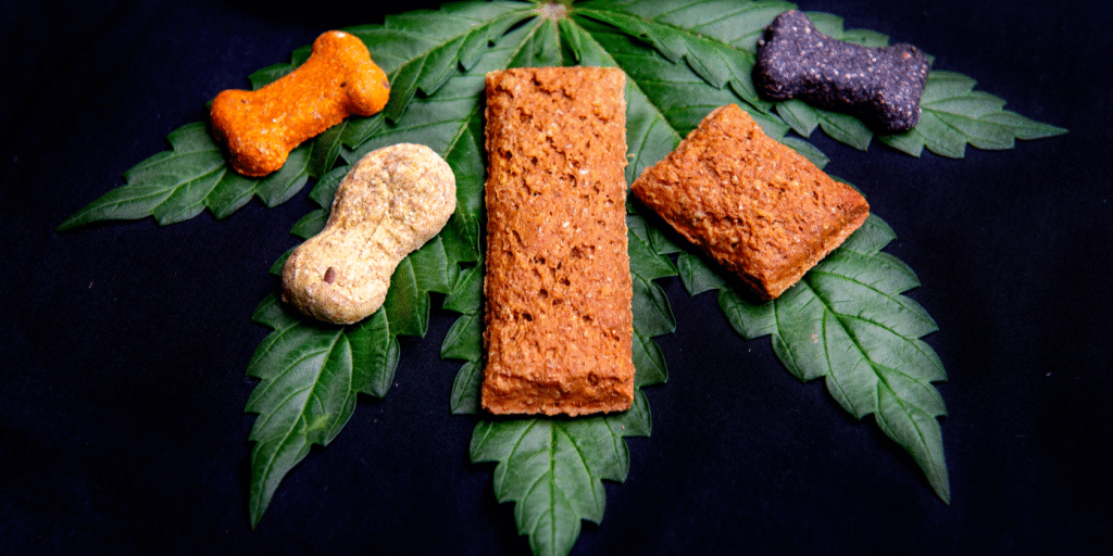 pet cbd treats on a cannabis leaf