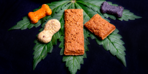 pet cbd treats on a cannabis leaf