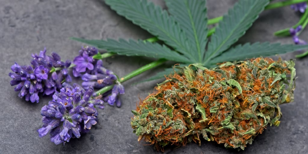 THCA & THC: The Tale of Two Cannabinoids | Remedy Columbia
