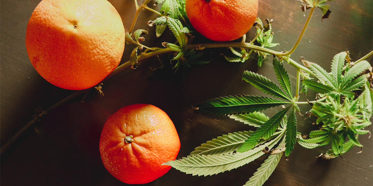 oranges and cannabis plant on wooden table