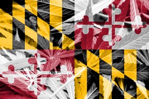 Maryland State Flag on cannabis background. Drug policy. Legalization of marijuana