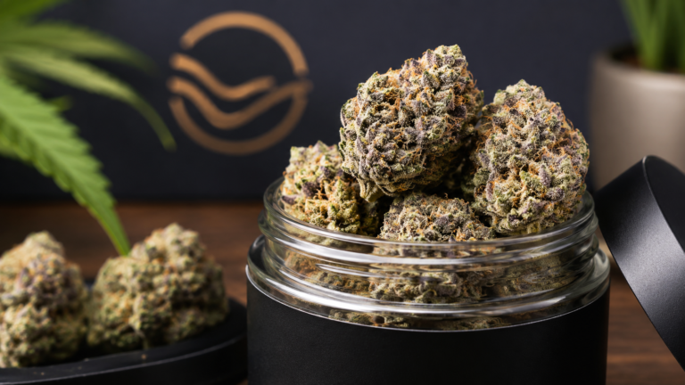 Close-up featured image of premium cannabis flower buds in a glass jar with warm lighting and a modern dispensary-style background.